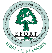 efort-logotype